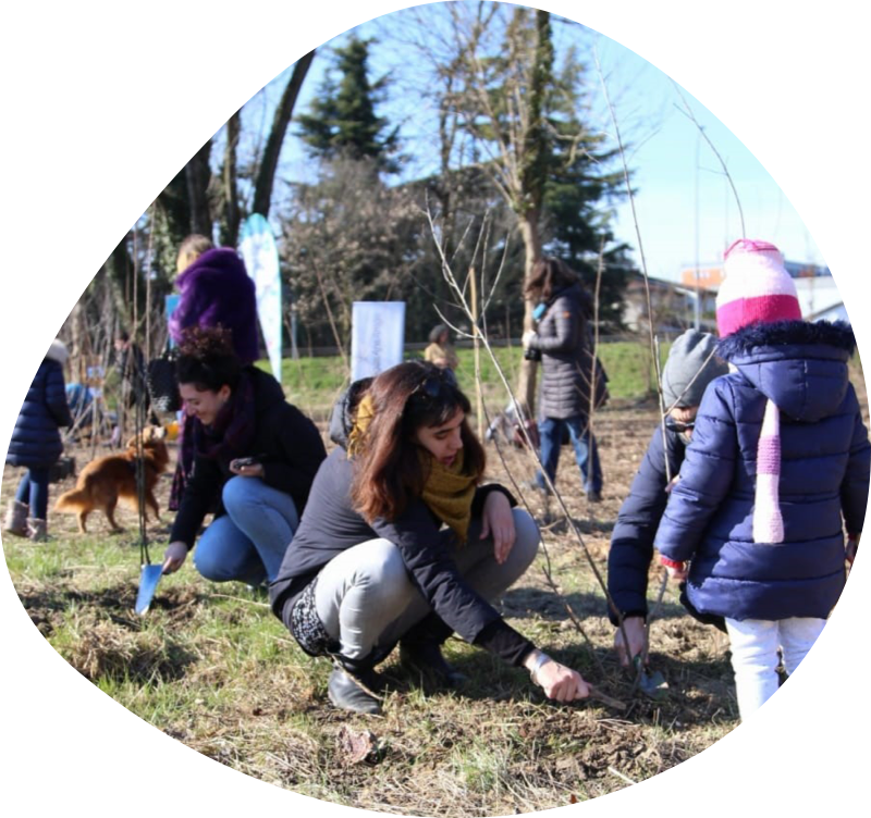 Foresta urbana Padova